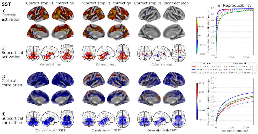 Brain Function in the Pre-Adolescent Brain